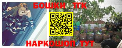 ешки Боровичи
