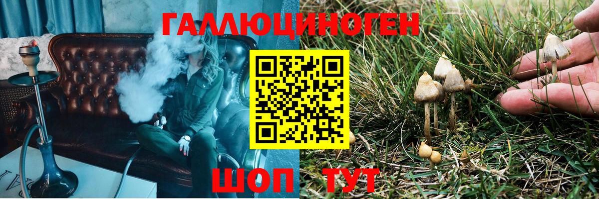 Жигулёвск  Псилоцибиновые грибы мицелий  Вход с VPN  Галлюциногенные грибы прущие грибы 